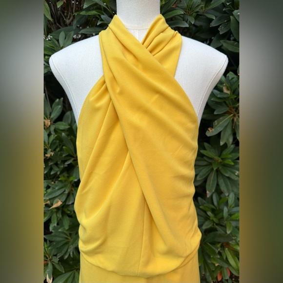 Halston Heritage Dresses & Skirts - NWT Halston Heritage V-Neck Mini Dress - size 10